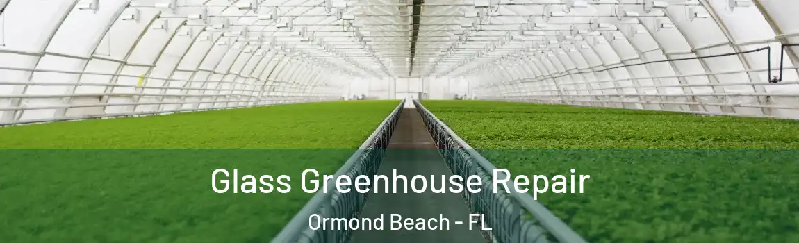  Glass Greenhouse Repair Ormond Beach - FL