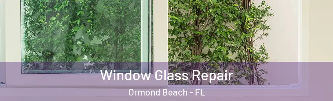  Window Glass Repair Ormond Beach - FL
