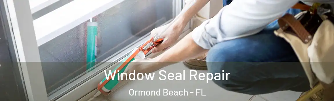 Window Seal Repair Ormond Beach - FL